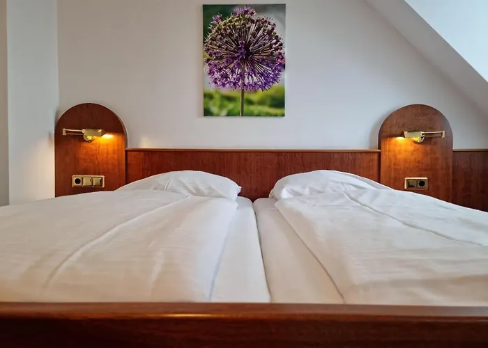 纳索尔霍夫酒店 酒店 3*